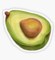 Avocado. color pencil Sticker
