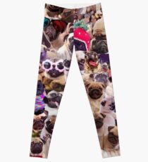 Pugs, pugs, pugs Leggings