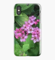 Flowers in the Garden iPhone Case/Skin