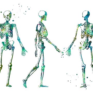 Human Skeleton Posing. Vector Illustration. Halloween Party Design Template  Royalty Free SVG, Cliparts, Vectors, and Stock Illustration. Image 85650432.