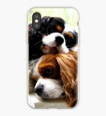 coque iphone 6 chien king charles coque iphone 6 chien king charles
