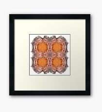 Fractal Framed Print