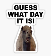 HUMP DAY Sticker