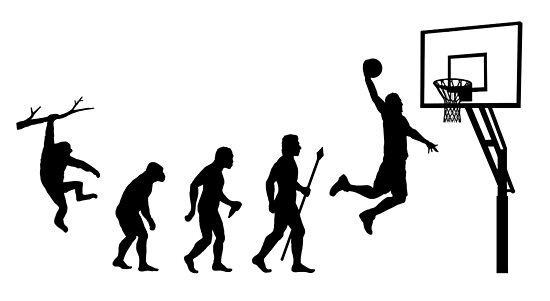 "Basketball Evolution" Poster By BeyondEvolved | Redbubble