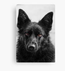 Gentleness Canvas Print