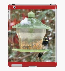 Acorn Woodpecker In Winter iPad Case/Skin
