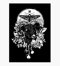Krogl Photographic Print