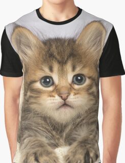 Lying Cat: T-Shirts | Redbubble
