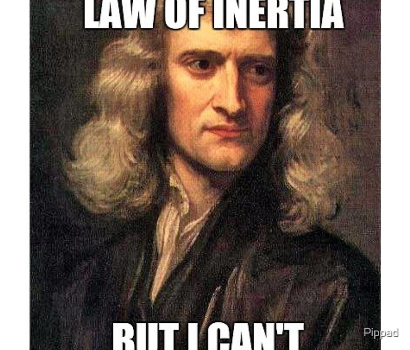Tazas De Viaje Sir Isaac Newton Meme De Pippad Redbubble 6340