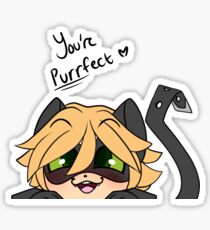 You're Purrfect Chat Noir Sticker