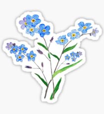 blau vergiss mich nicht 2 Sticker