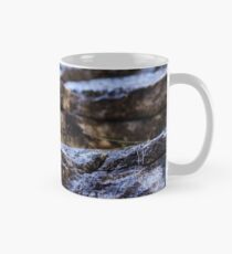 Sedimentary rocks background Mug