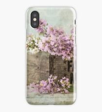 Farmers Market iPhone Case/Skin