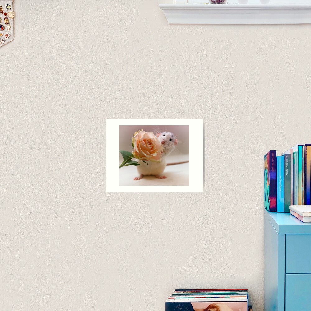 A rose for you... Art Print