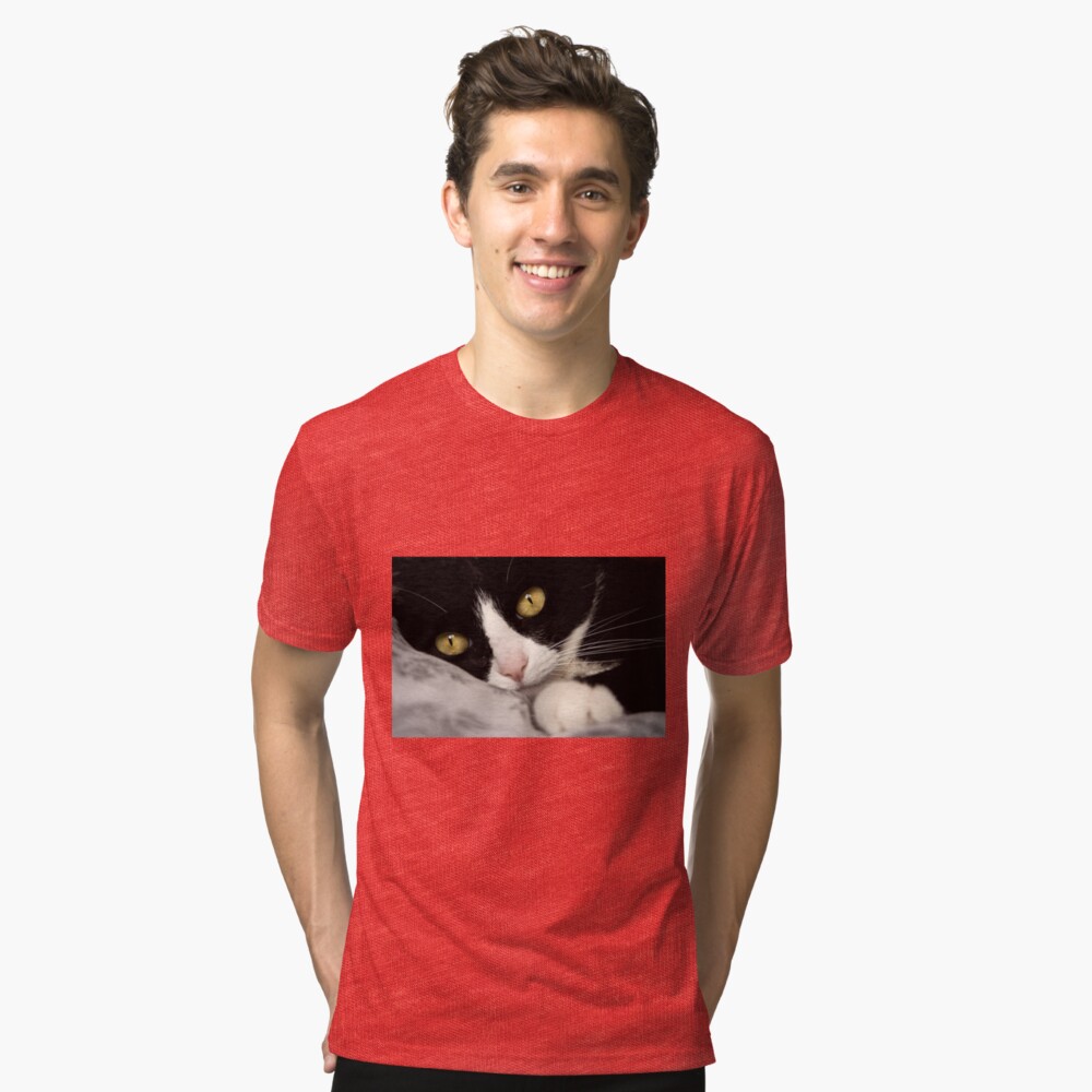 cat Tri-blend T-Shirt
