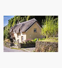 Thatch Photographic Print