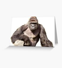 Harambe Greeting Card