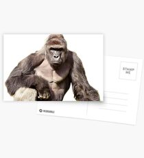 Harambe Postcards
