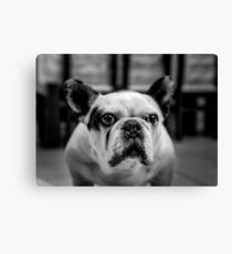 KIRBY Canvas Print