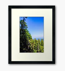 trees Framed Print