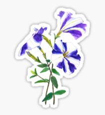 purple petunia Sticker