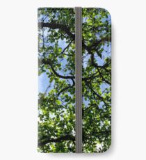 Spring iPhone Wallet/Case/Skin