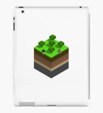 Small World iPad Case/Skin