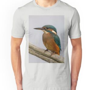 kingfisher beer t shirt