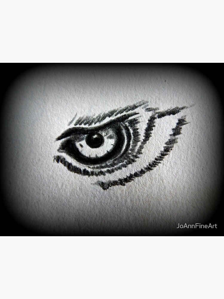eagle eye drawing