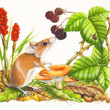 Artwork thumbnail, Wood Mouse by Meadowpipit