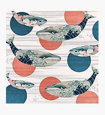 Whale and Polka Dots Photographic Print