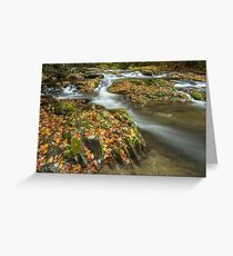 Autumn Leaves in the River Greeting Card