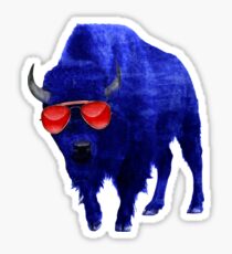 716 Bison : Red Frames Sticker