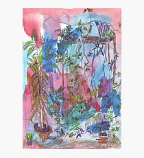 Sunroom Photographic Print