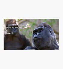 Dicks out 4 Harambe Photographic Print