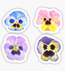 4 little pansies Sticker