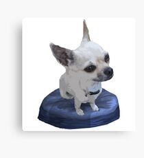 Beanie Baby Cisco Canvas Print