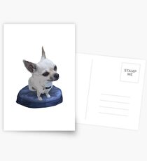Beanie Baby Cisco Postcards