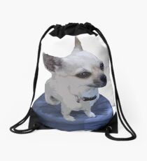 Beanie Baby Cisco Drawstring Bag