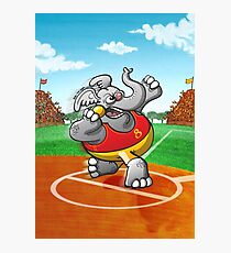 Shot Put Elephant Photographic Print