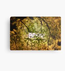 Ireland, little house Metal Print
