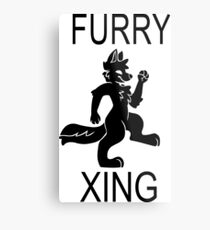 FURRY XING Metal Print