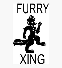 FURRY XING Photographic Print