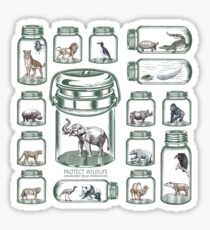 Protect Wildlife - Endangered Species Preservation Sticker