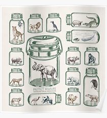 Protect Wildlife - Endangered Species Preservation Poster