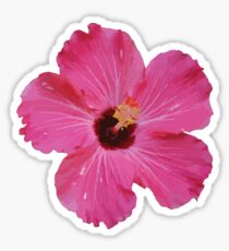 Tropical Pink Flower Graphic Sticker