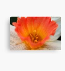 Chalice Canvas Print