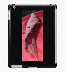 Hitchhiker iPad Case/Skin