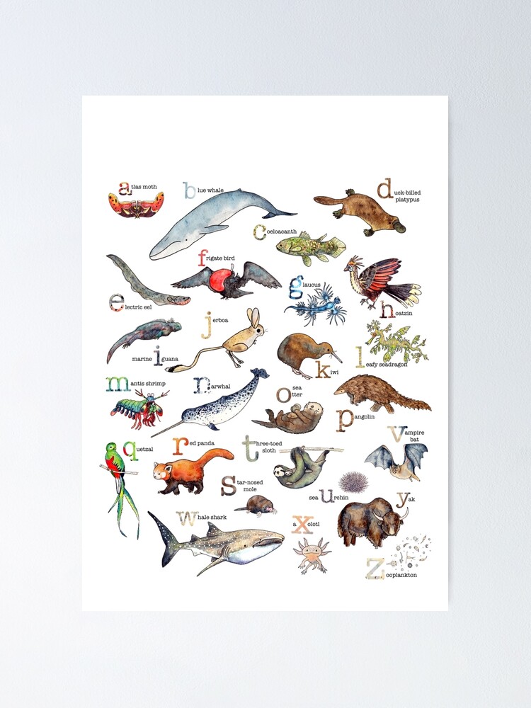 Alternate view of A to Z of Amazing Animals Poster