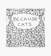 paced cat Scarf